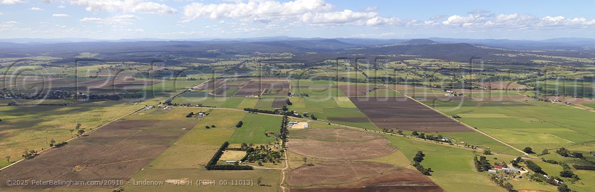 Peter Bellingham Photography Lindenow - VIC H (PBH4 00 11013)